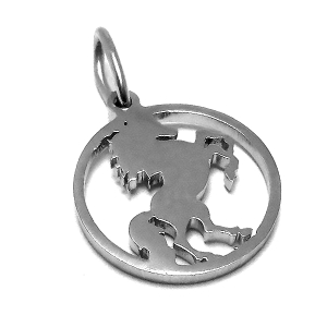 Dije caballo de acero quirúrgico